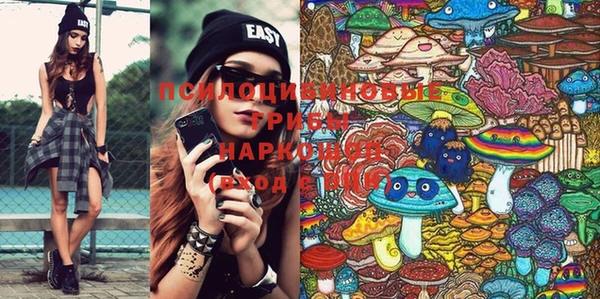 jwh Пересвет