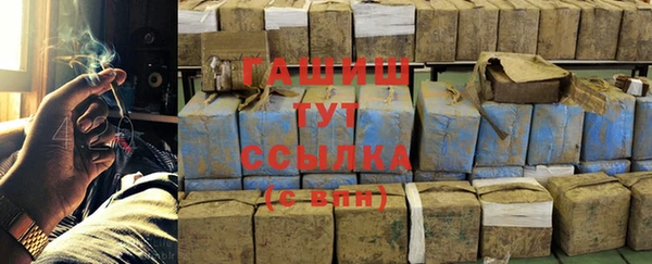 PSILOCYBIN Переславль-Залесский