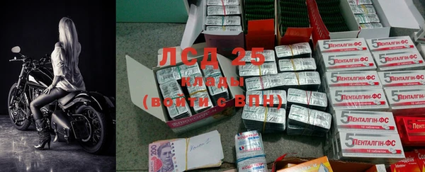 PSILOCYBIN Переславль-Залесский