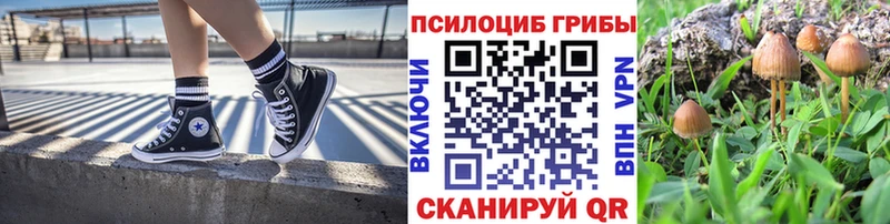 Псилоцибиновые грибы MAGIC MUSHROOMS  Купить  Фрязино 